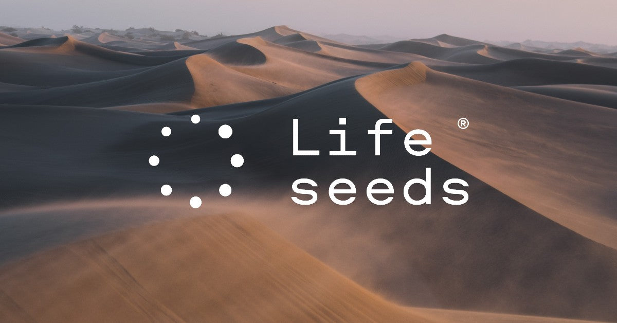 Optimize your health with NAD+ supplements | Lifeseeds