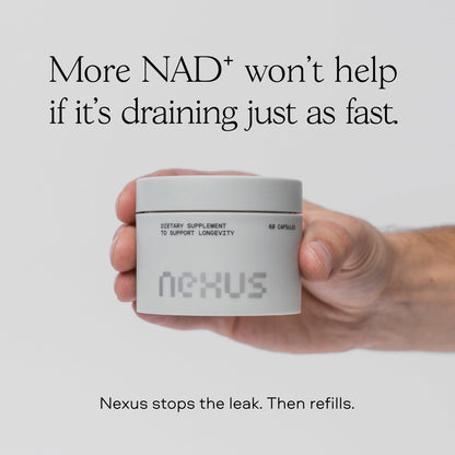 Hand holding Nexus NAD⁺ jar — refilling NAD⁺ isn't enough if your body is draining it