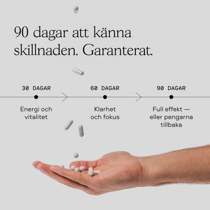 Nexus NAD⁺ tidslinje — energi vid 30 dagar, klarhet vid 60 dagar, full effekt vid 90 dagar med nöjdhetsgaranti