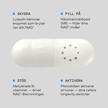 Nexus NAD⁺-kapsel — fyra funktioner: skydda, fyll på, stöd och aktivera